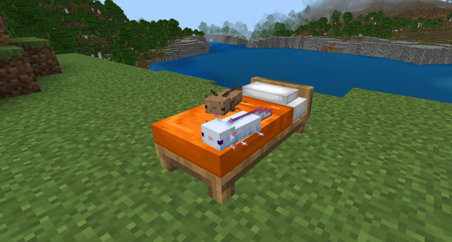 Кровать с моделями аксолотли